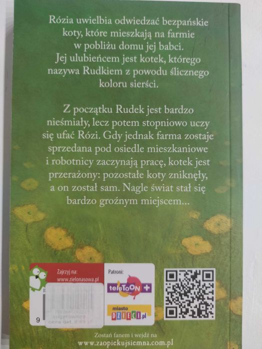 Zaopiekuj się mną. Gdzie jest Rudek? Holly Webb