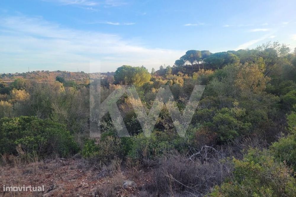 Terreno Rústico No Cerro De São Vicente Em Paderne-Albufeira — Algoz E Tunes, Faro
