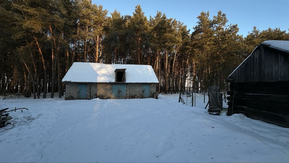 Добротний теплий будинок для життя біля лісу та річки