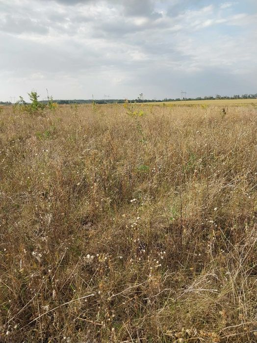 Продам земельну ділянку в  с. Горбанівка