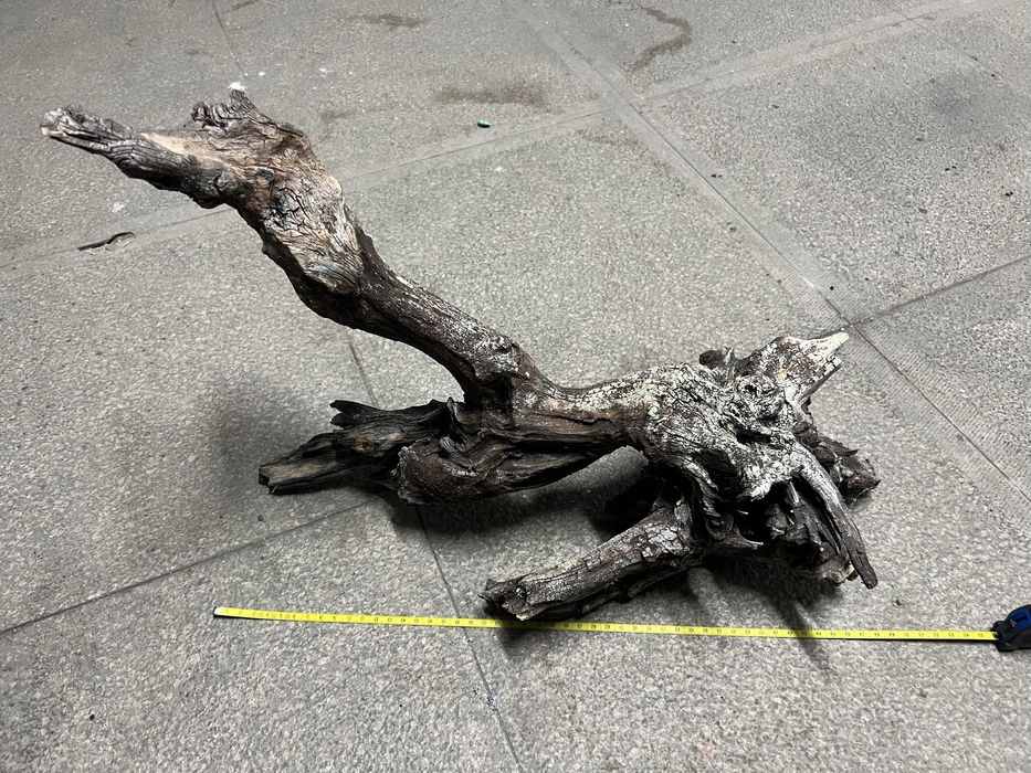 Troncos para aquario