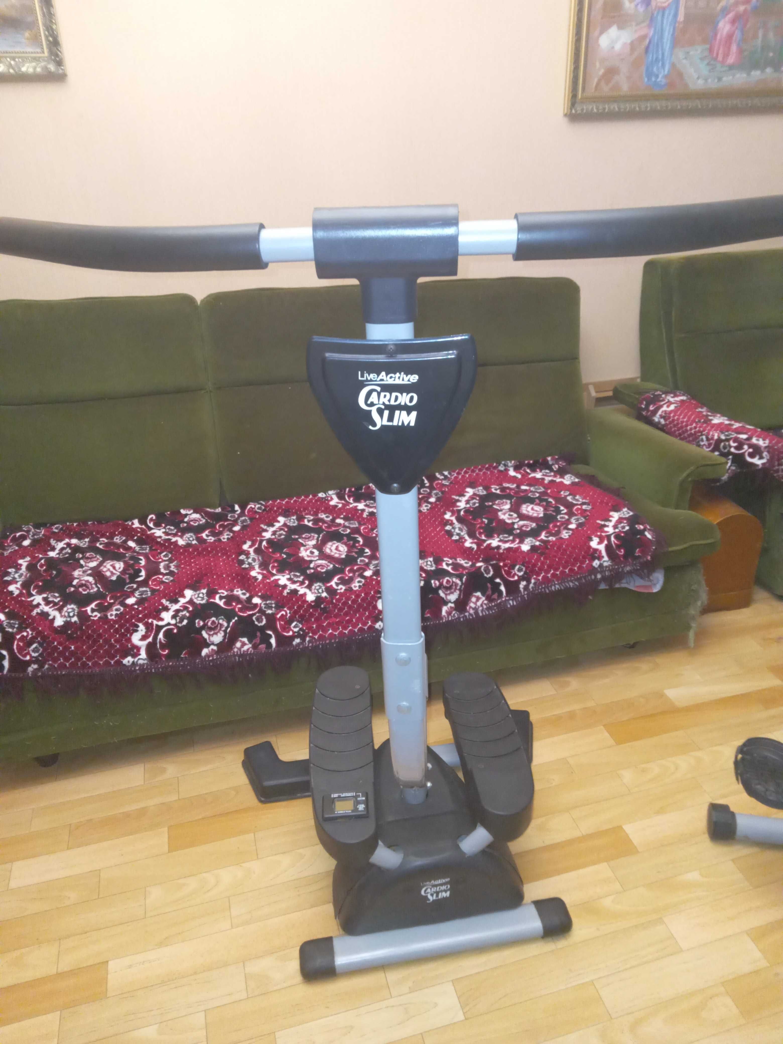 Egl fit stepper hotsell