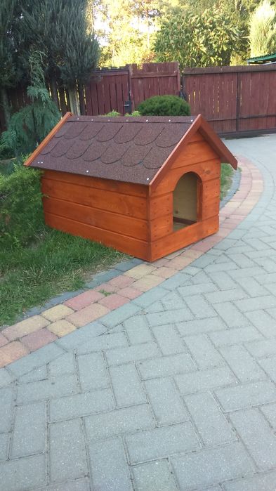 Buda dla średniego psa