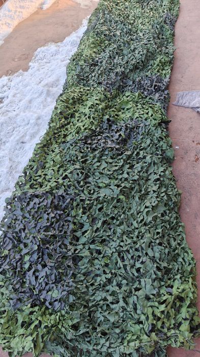 Szwedzka siatka maskująca 4,5m x 4,5m