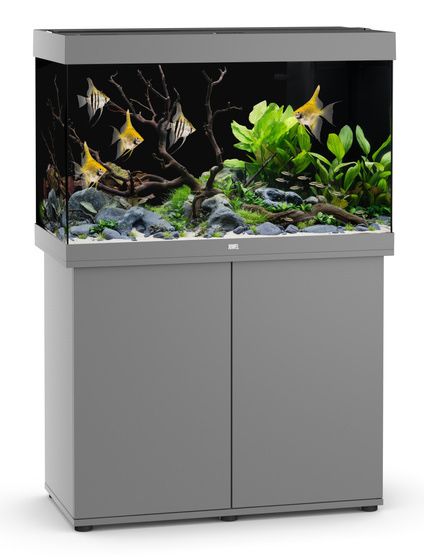 Akwarium Juwel Rio 290 LED szare Aqualife