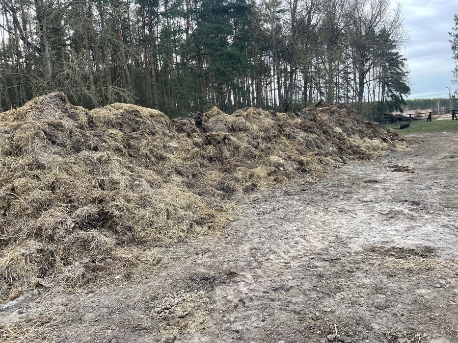 Obornik koński pryzmowany