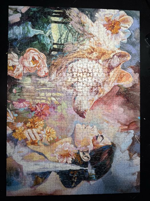 Heye puzzle 1000 shared river