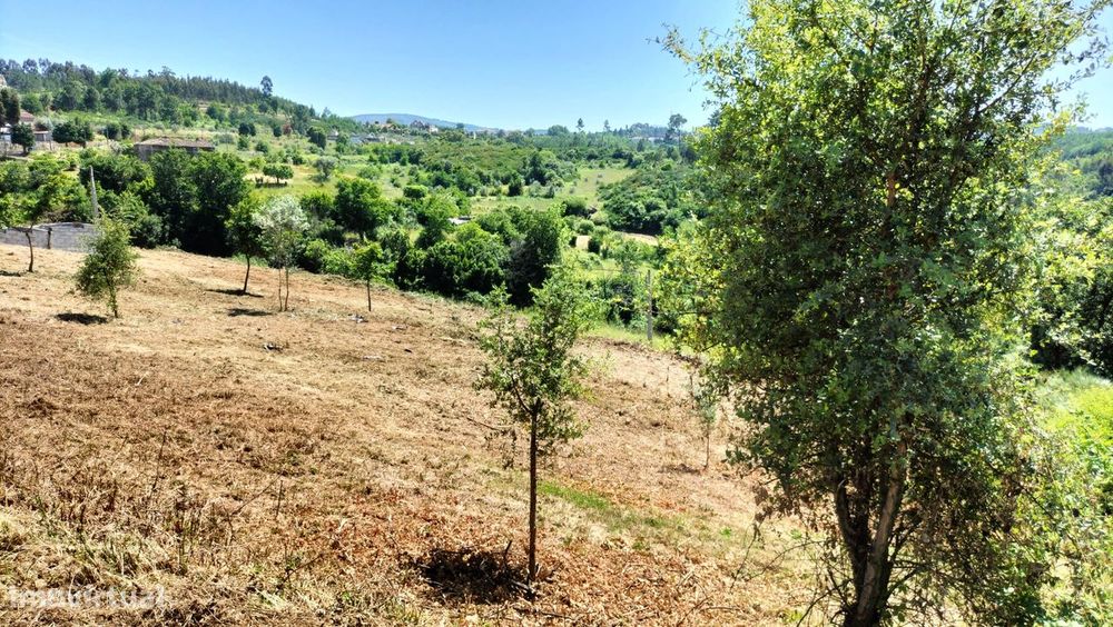 **Terreno 1475m2 p/ Construção em Torrozelo e Folhadosa**