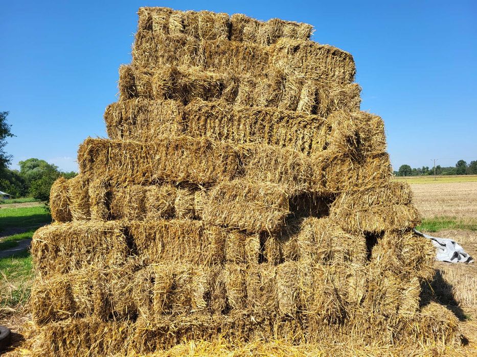 Słoma kostka sucha, bez deszczu.