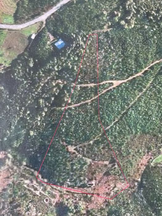 2hect com ribeira para bebier, ruina para tecuperar, caravano