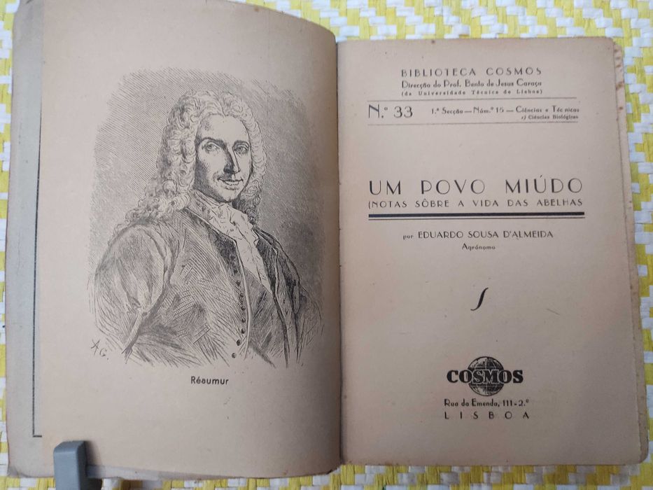 Um Povo miúdo — As Abelhas Biblioteca Cosmos