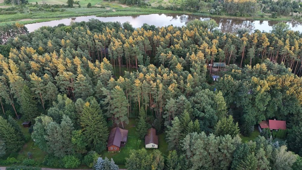 Wyjątkowa działka z domkiem letniskowym 3 minuty od rzeki Bug – 700 m² Brańszczyk