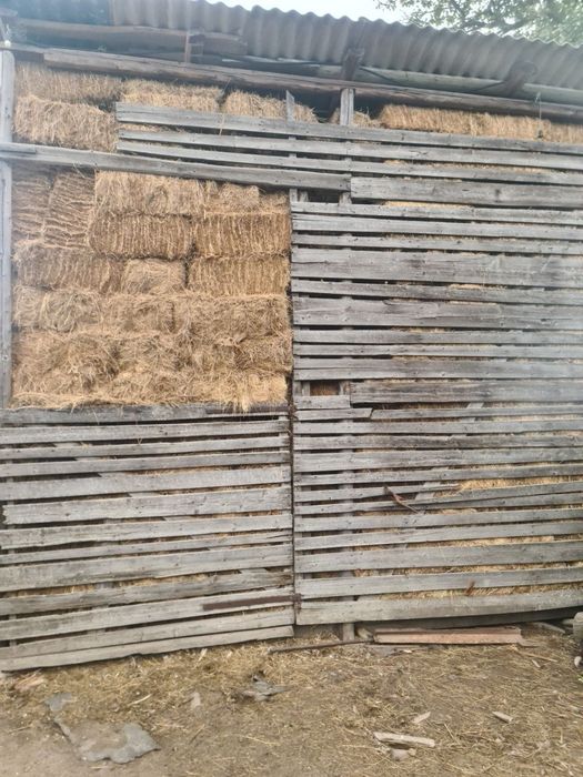 Продам сіно лугове