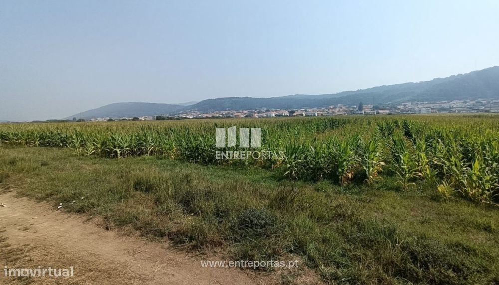 Venda de terreno agrícola com 7890m², Areosa, Viana do Castelo
