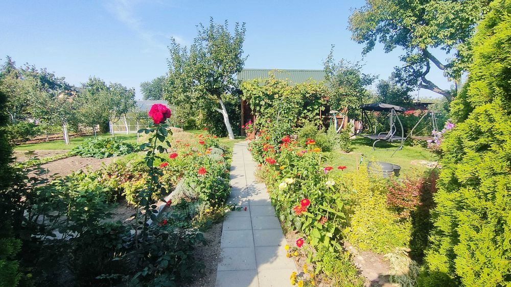 Ogródek działkowy ROD Włodawa, ul. Lubelska