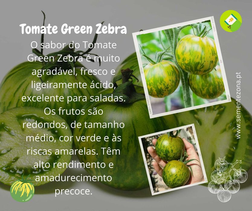 10 Sementes de tomate Green Zebra - rara