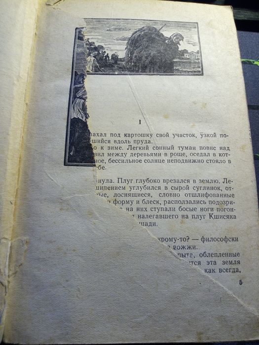 Wanda Wasilewska 1951 r. Książka