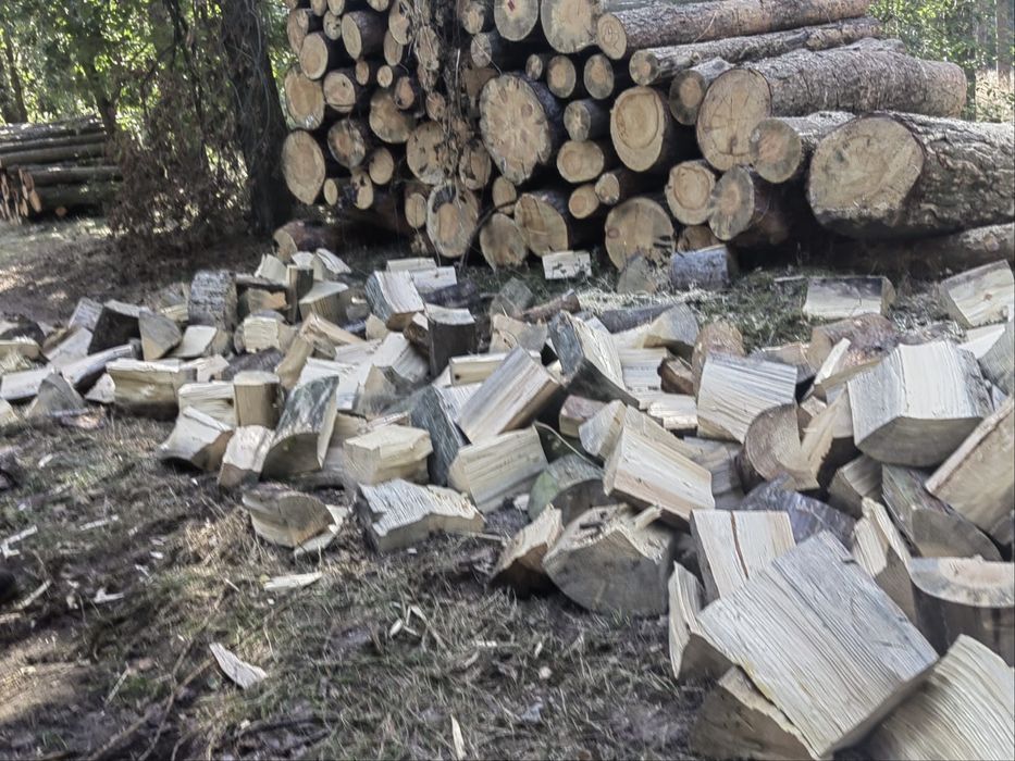 Drewno kominkowe i opałowe