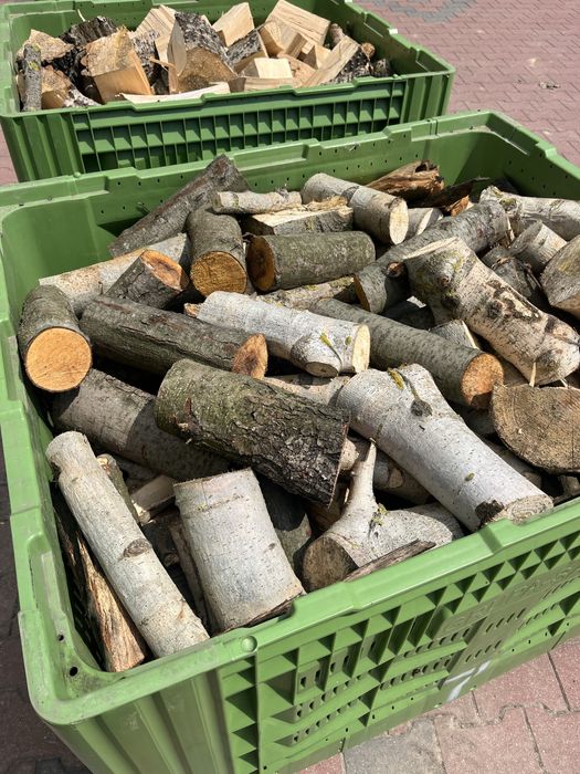 Drewno Drzewo opałowe