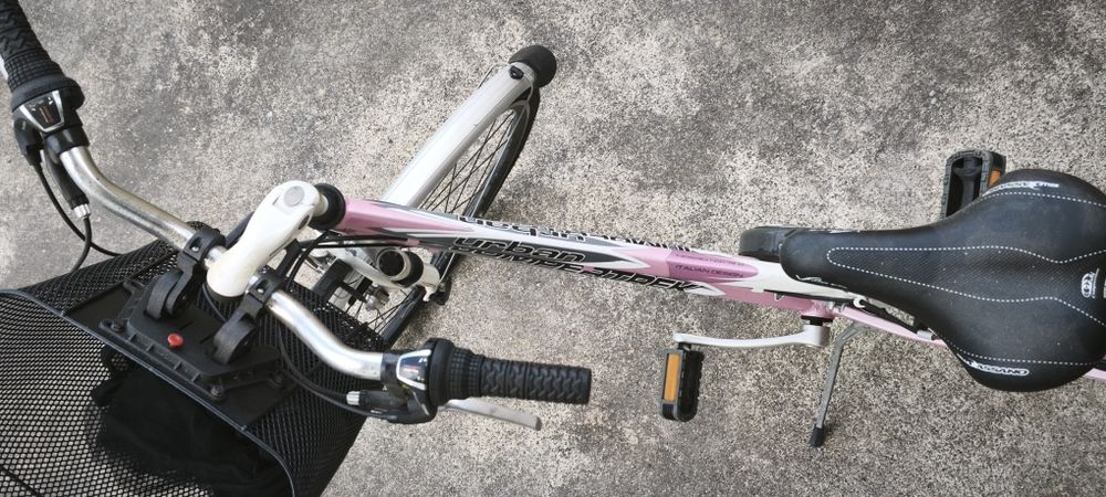 Bicicleta de Senhora Jumper Trek