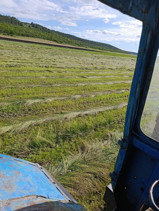 Тюки сено луговое