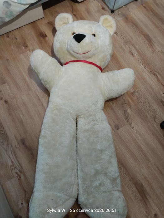 Duża maskotka Miś 170 cm