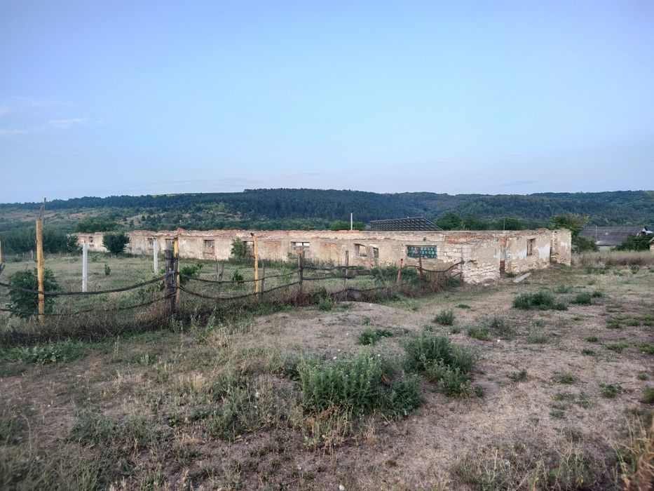 Продаються Ферми