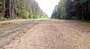 Расчистка трасс линий электропередач (ЛЭП) сучасно, ефективно з нами!