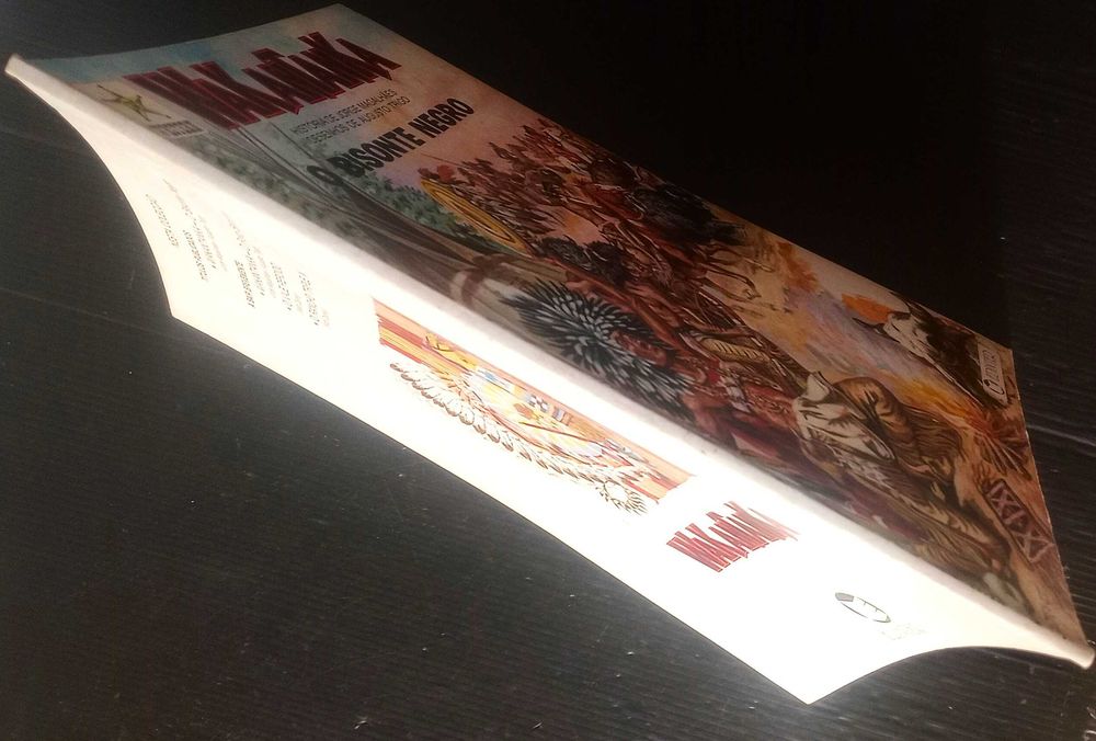 Livro BD Wakantanka - O bisonte negro