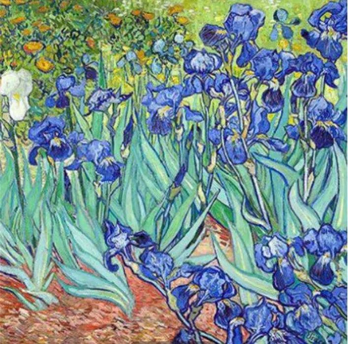Картина по номерам ван гог ирисы, 40х50