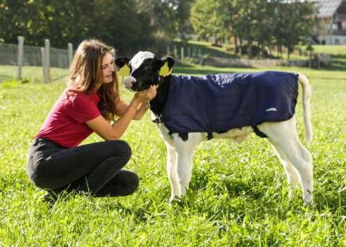 Derka dla cieląt EasyWear, 70 cm, granatowa, Kerbl