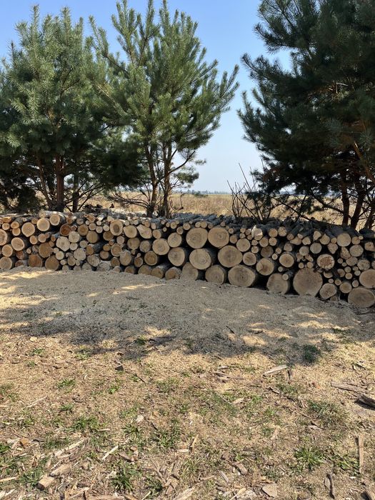 Дрова колоті,чурки порізані та метровки