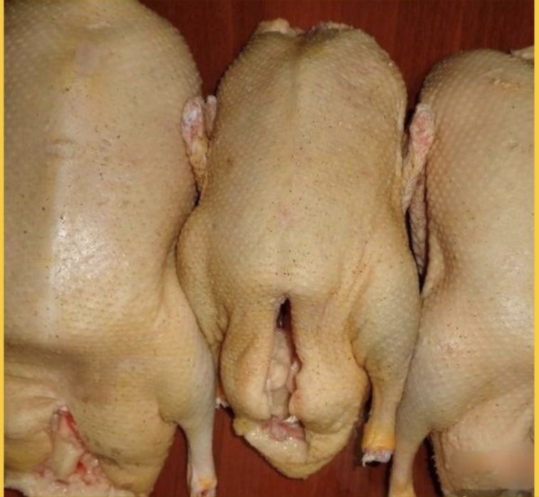 Тушки домашних мускусных уток