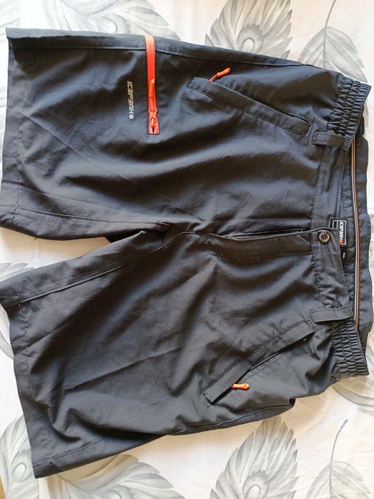Чоловічі шорти Icepeak М/50