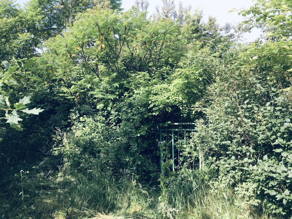 Земельна ділянка в Лісі 18сот. с.Вишнів, 10км.- Луцьк