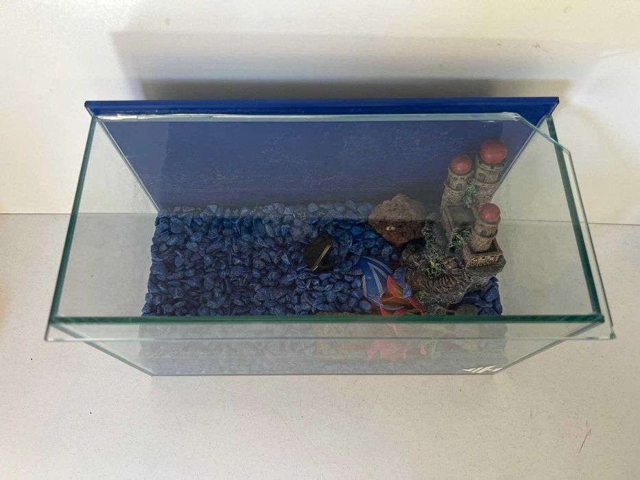 Tanque de Vidro (25 x 12 x 16 cm)