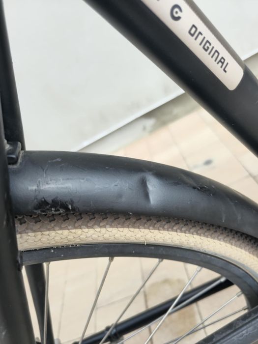 Holenderka Cortina L4