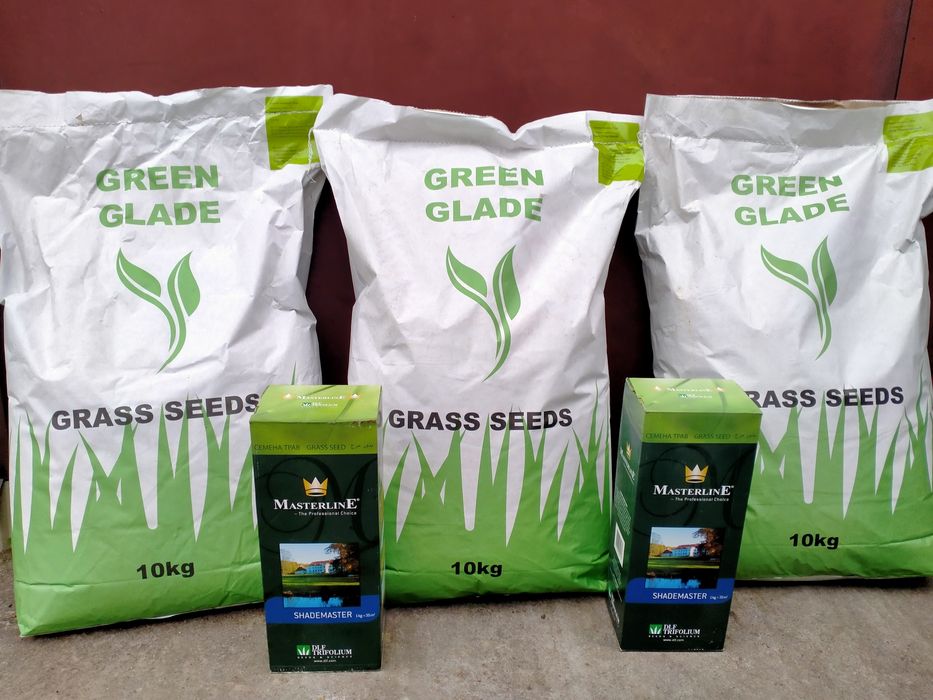 Якісна Газонна трава !!! Спорт, Універсал, Ліліпут