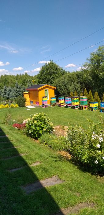 Przczoły i ule osobno lub razem