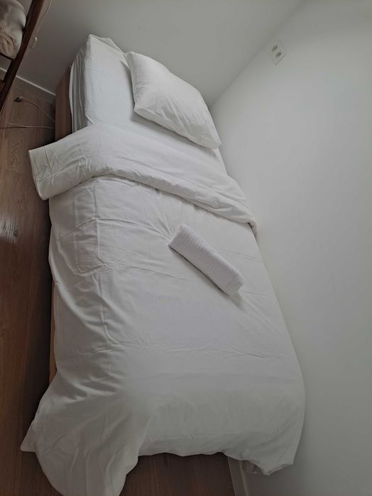 Limpezas e serviços de reparações.