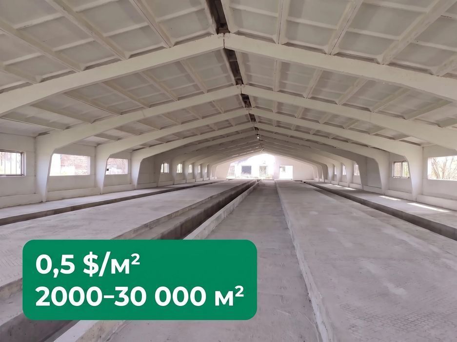 Оренда 2 000–30 000 м², Чернігівська обл.: ферма / склад / виробництво