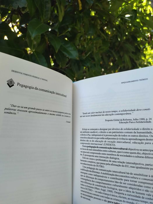 Desenvolvimento Pessoal e Social (Maria Praia)