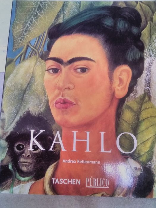 Oito livros de vários pintores