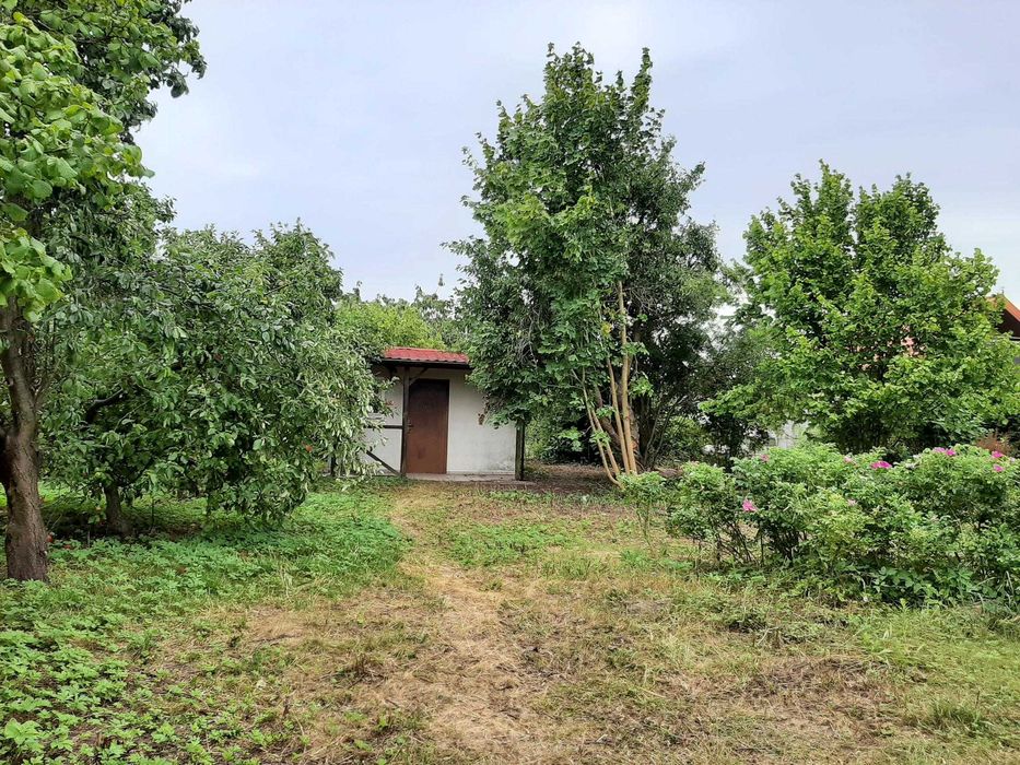 Sprzedam działkę ogrodową - Widok 6