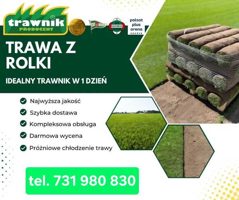 Trawa z rolki Trawnik Producent PREMIUM