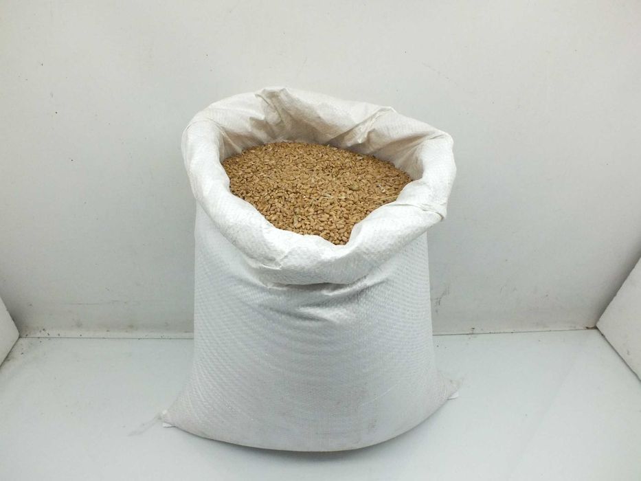 Pszenica dla kur niosek – 100kg