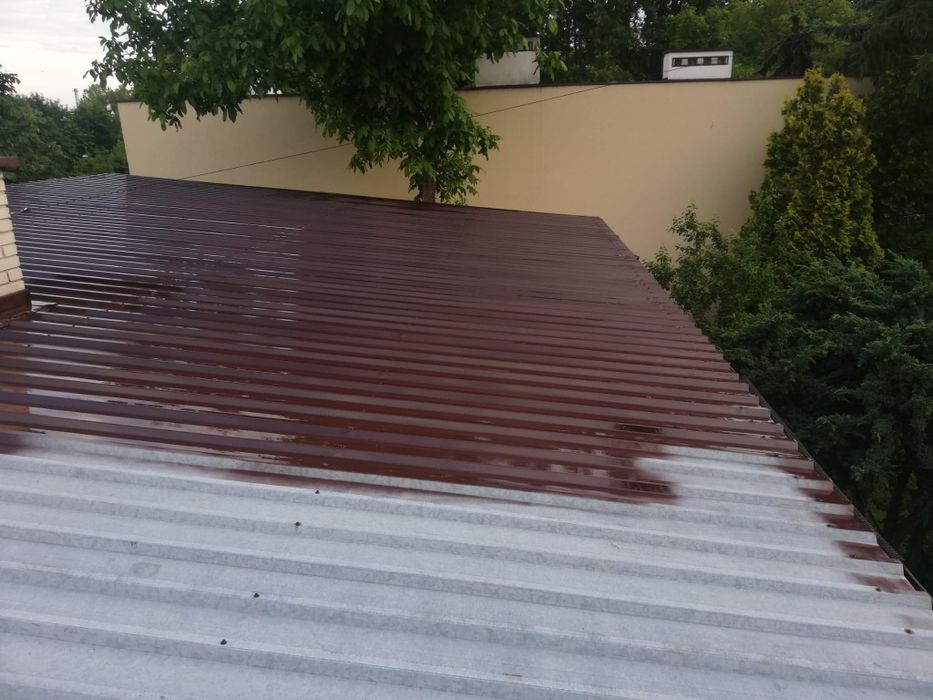 Mycie, malowanie dachów, mycie kostki i elewacji