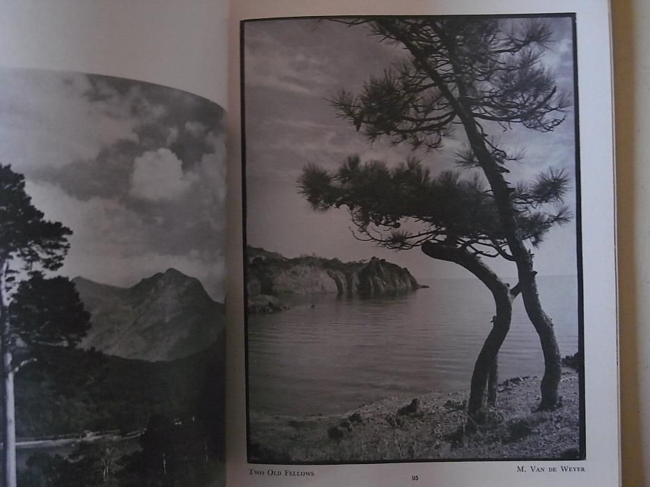 livro anuário fotografia americano 1951