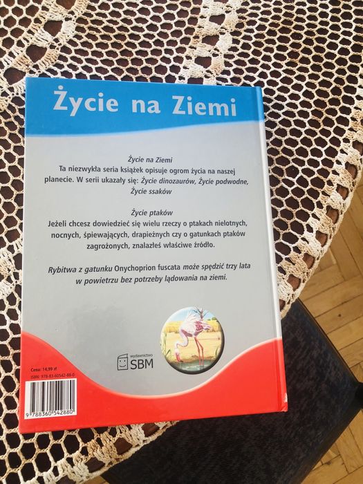 Życie na Ziemi. Życie ptaków