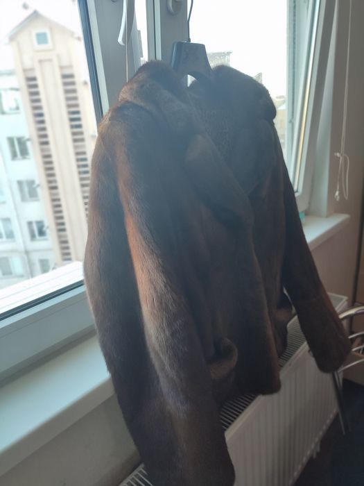 Шубка короткая Тисмениця